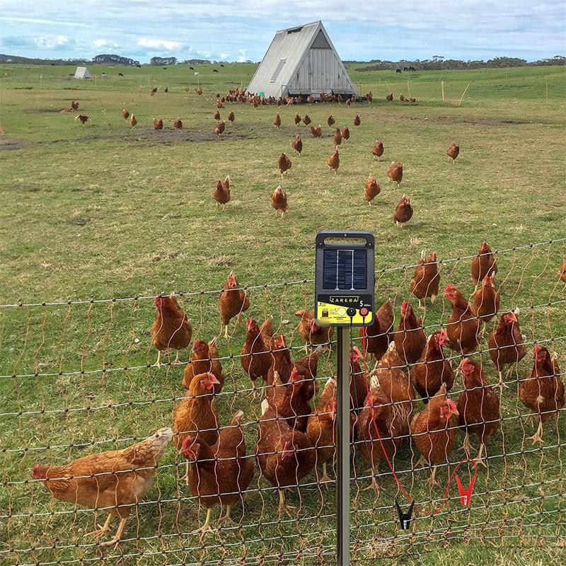 2pcs gardens Solar Fence Charg - Tippet Line reseña y precio