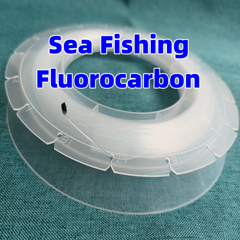 100M Fishing Fluorocarbon Big  - Fluorocarbon Line reseña y precio